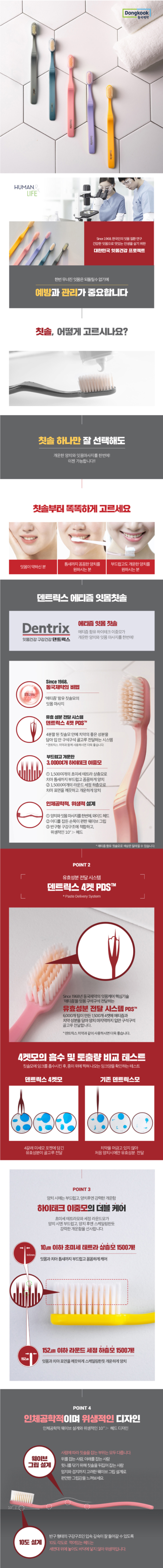동국제약 덴트릭스 치약 칫솔 6종세트 상세 이미지 2